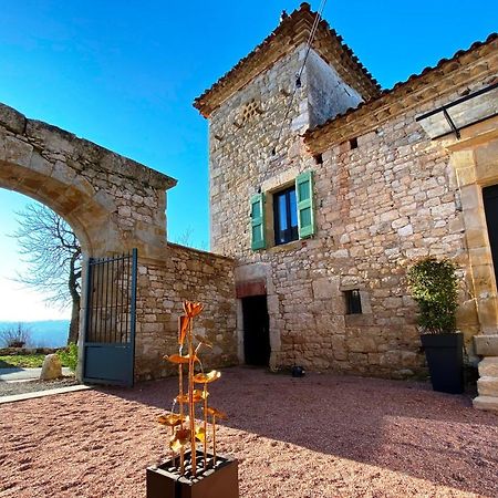 Domaine De Lejos - Portes D'Albi Lamillarié Exterior foto