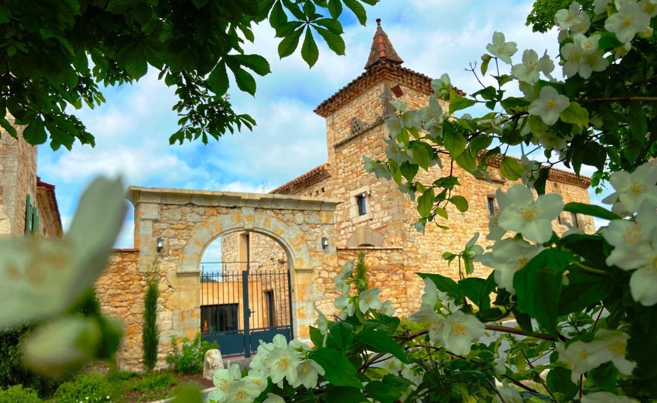 Domaine De Lejos - Portes D'Albi Lamillarié Exterior foto